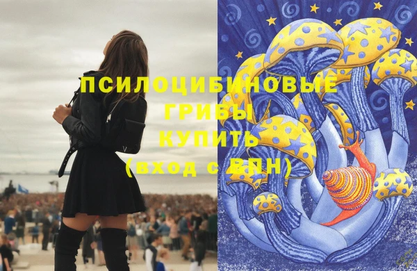 дмт Беломорск