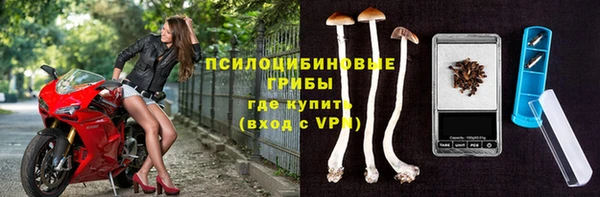 spice Белоозёрский