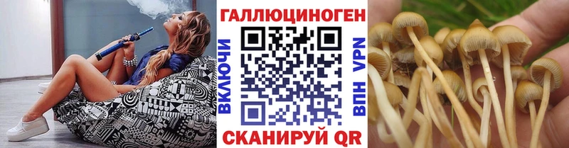Галлюциногенные грибы ЛСД  Кодинск 