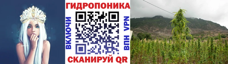 mega зеркало  Кодинск  Конопля семена 
